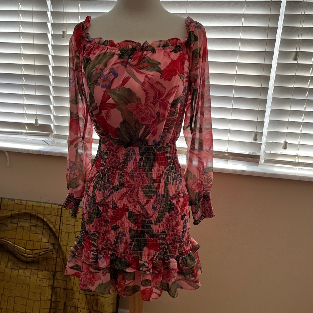 Beaut barely worn Bebe sheer dress! Lined everywhere but the sleeves!!!